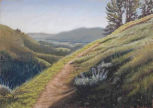 Lupine Path